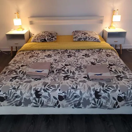 Aog Prestige Privat Jacuzzi Sauna Parking Free Apartment *